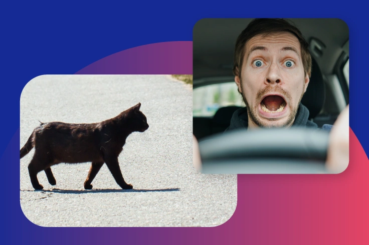 What You Can Learn From The Best Insurance Loyalty Programs in 2025